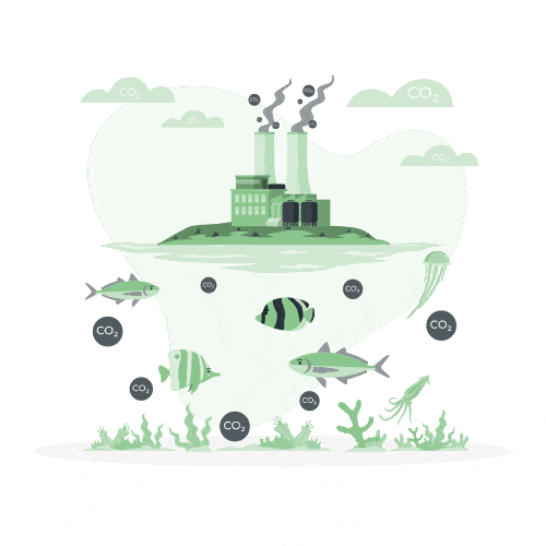 Concentration de CO2 et acidification des océans