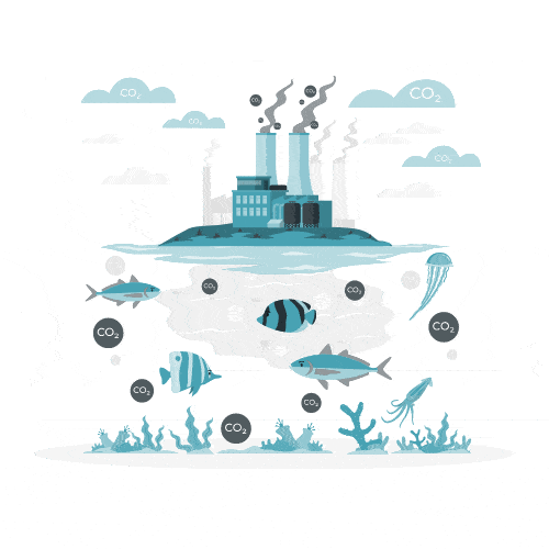 CO2 concentration and ocean acidification