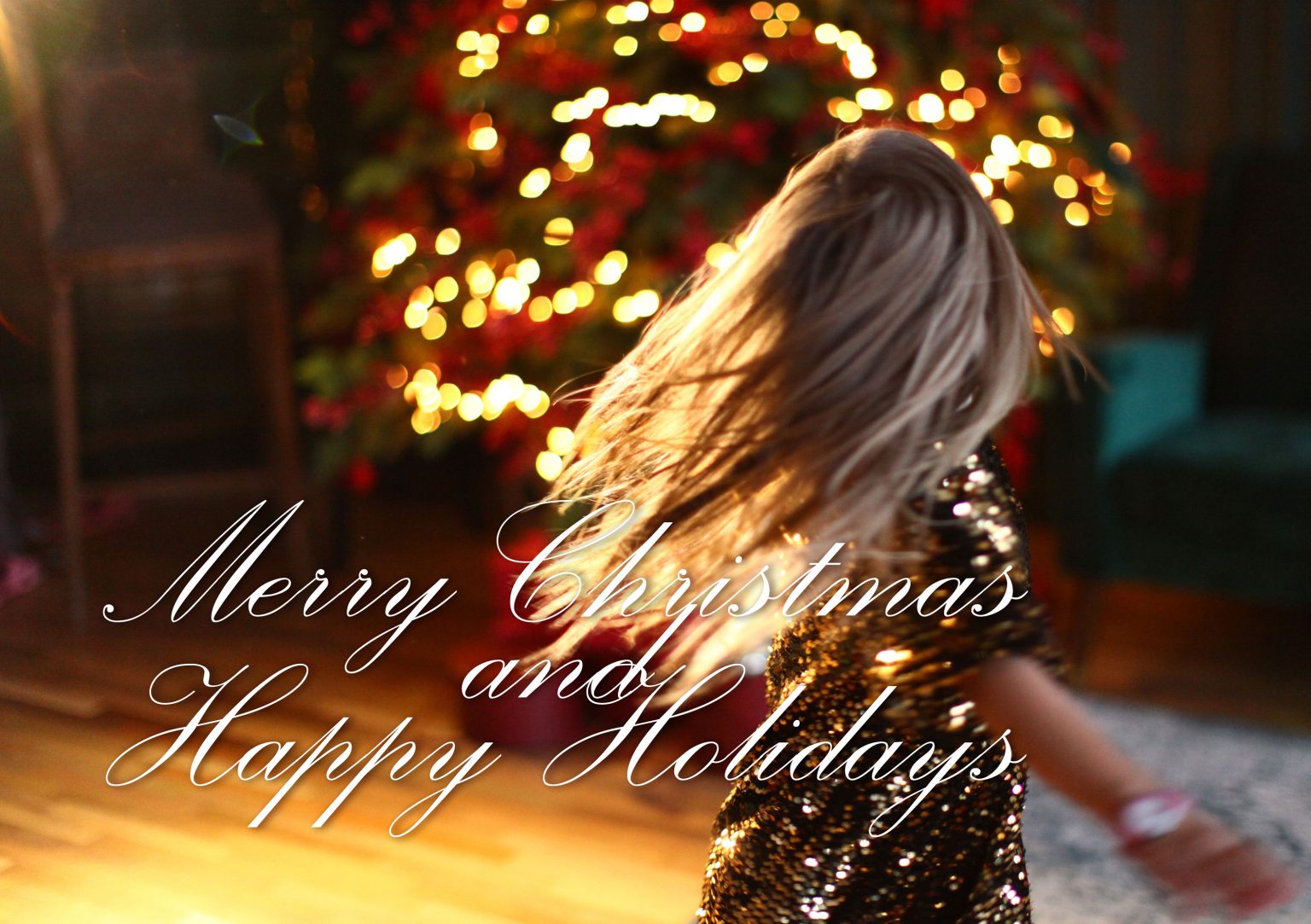 Merry Christmas and Happy Holidays